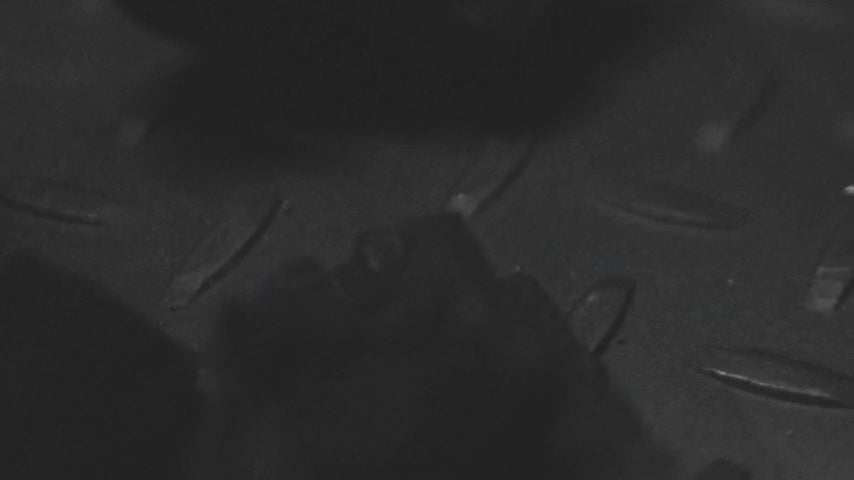 Translation missing: de.block.video.load_video